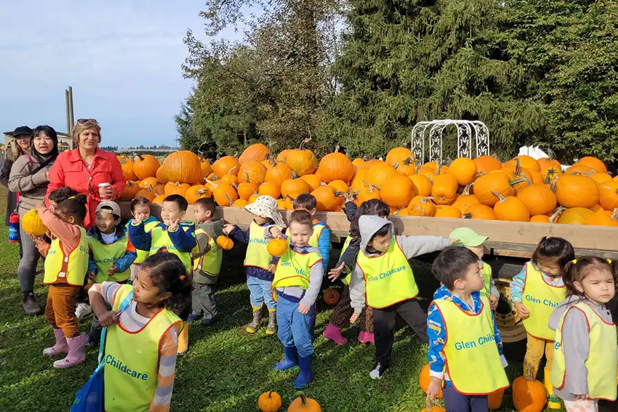 Pumpkin Patch